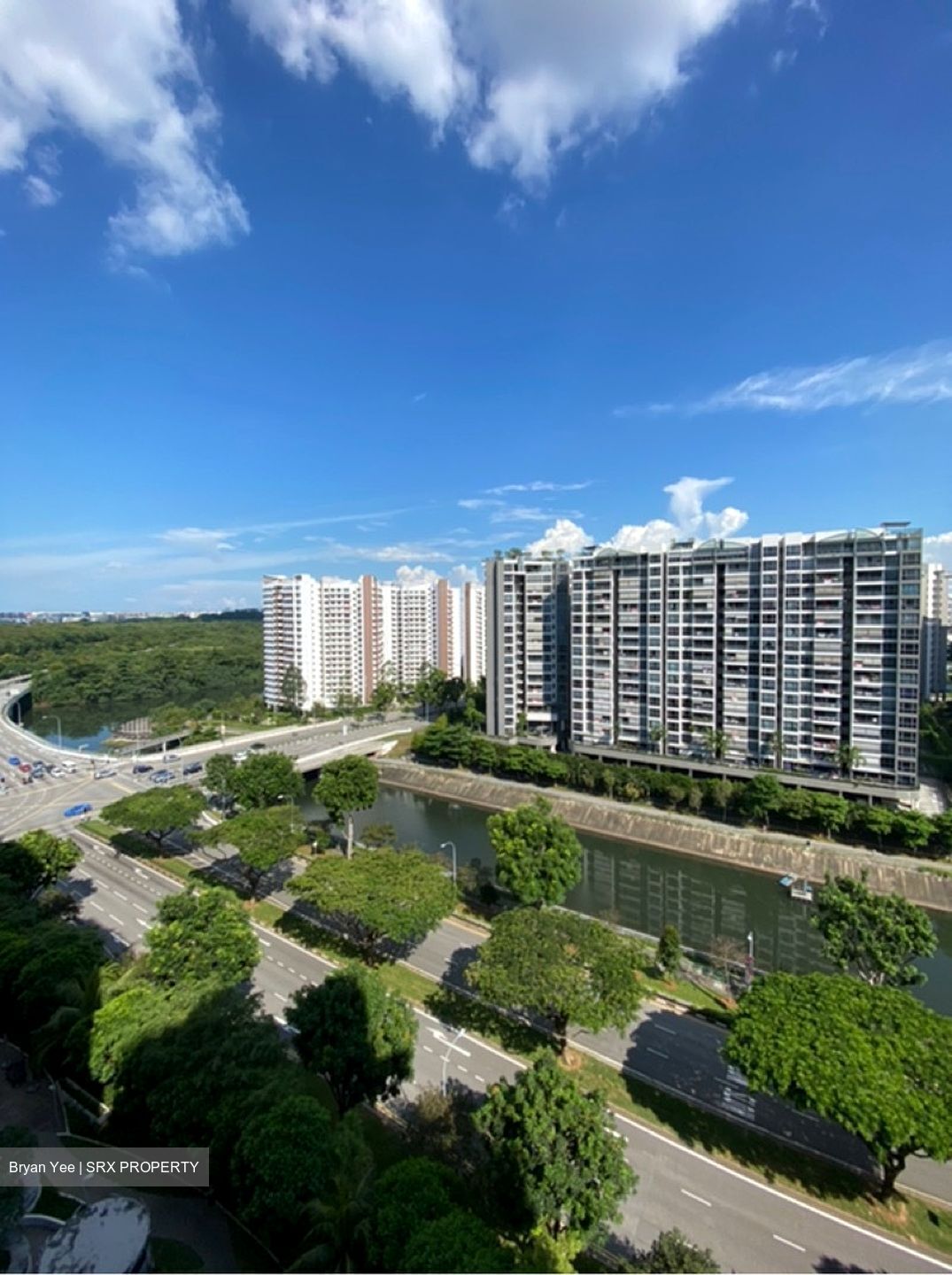 Riversound Residence (D19), Condominium #619575901